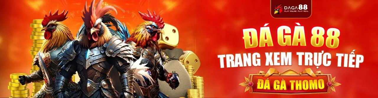 Đá gà trực tuyến nohu90 - Trải nghiệm đỉnh cao