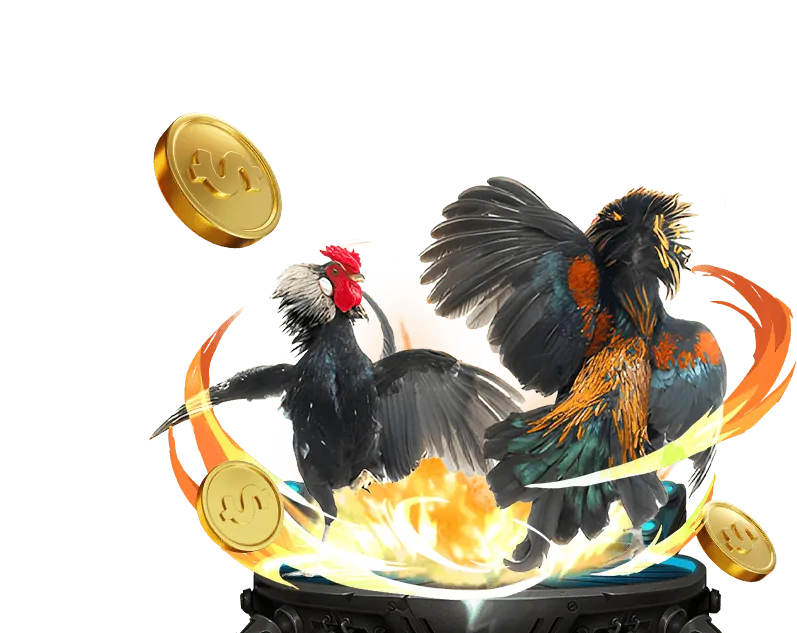 Video slot hiện đại với đồ họa 3D và nhiều tính năng bonus tại nohu90